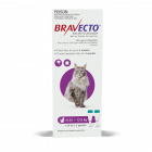 Bravecto Spot On Cat Large 13.8-27.5lbs Purple 2 Pack
