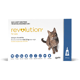 Revolution for cats 2.6-7.5kg blue