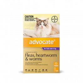 Advocate Cat Over 4kg Purple