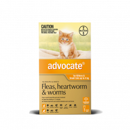 Advocate for cats under 4kg orange