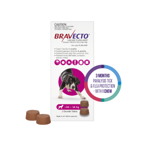 Bravecto Dog Extra Large 40-56kg Purple 2 Chews Short Expiry