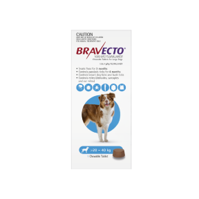 Bravecto Chewables Dog Large 20-40kg Blue Updated