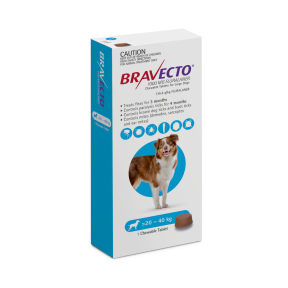 Bravecto-Chewables-Dog-large-Blue-front