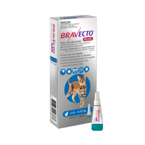 Bravecto Plus Cat 2.8-6.25kg Blue 1 Pack Short Expiry