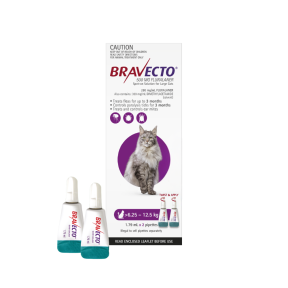 Bravecto Spot On Cat Large 6.25 - 12.5kg Purple 2 Pack Update
