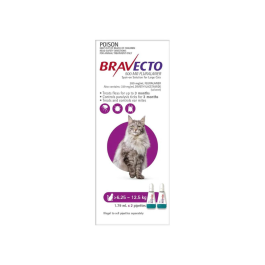 Bravecto Spot On Cat Large 6.25 - 12.5kg Purple 2 Pack