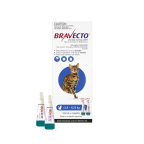 Bravecto Spot On Cat Medium 2.8 - 6.25kg Blue 2 Pack Update
