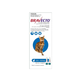 Bravecto Spot On Cat Medium 2.8 - 6.25kg Blue 2 Pack