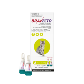 Bravecto Spot On Cat Small 1.2 - 2.8kg Green 2 Pack Update