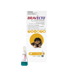 Bravecto Spot On Dog Very Small 2-4.5kg Yellow 1 Pack