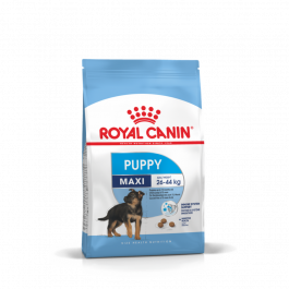 Royal Canin Health Nutrition Puppy Maxi