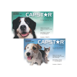 Capstar Flea Tablets 6 Pack
