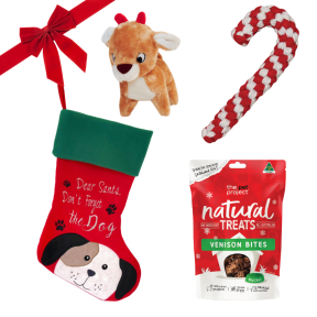 Christmas Dog Medium Bundle 2025