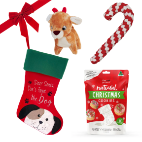 Christmas Dog Medium Bundle