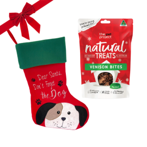 Christmas Dog Small Bundle 2025