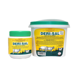 Deri-Sal Ointment