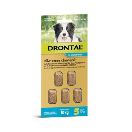 Drontal Allwormer Dog Medium 10kg 5 Chews