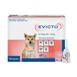 Evicto Dog Large 20-40kg Pink 4 Pack