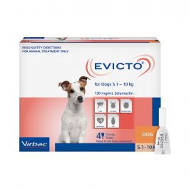 Evicto Dog Small 5-10kg Orange 4 Pack