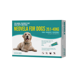 Neovela Dog Extra Large 20.1-40kg Teal 
