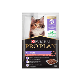 Pro Plan Kitten Salmon in Gravy 12 x 85g