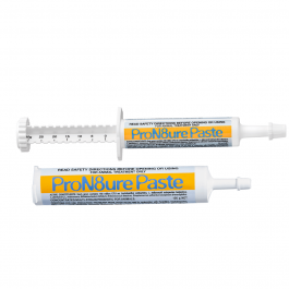 ProN8ure Probiotic Paste