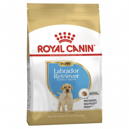 Royal Canin Breed Nutrition Dog Junior Labrador Puppy
