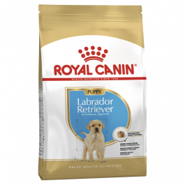 Royal Canin Breed Nutrition Dog Junior Labrador Puppy