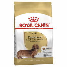 Royal Canin Breed Nutrition Dog Dachshund