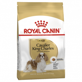 Royal Canin Breed Nutrition Dog Cavalier King Charles Spaniel