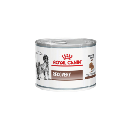 Royal Canin Veterinary Diet Cat/Dog Recovery 12 x 195g