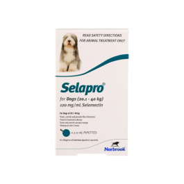 Selapro Dog Large 20-40kg Teal