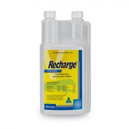 [Discontinued] Recharge Greyhound 1L