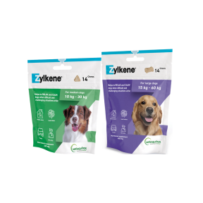 Zylkene Anxiety & Behaviour Chews