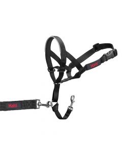 Halti Dog Head Collar Black