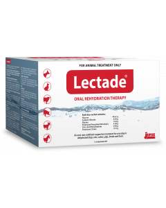 Lectade Oral Rehydration Therapy Sachets 12-Pack