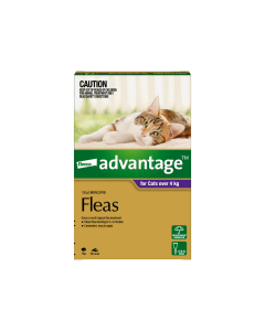 Advantage Cat Large Over 4kg Purple