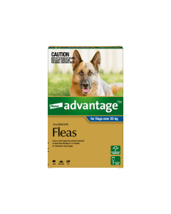 Advantage Dog Extra Large Over 25Kg Blue 