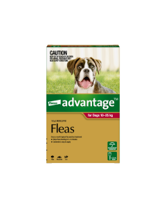 Advantage Dog Large 10-25kg Red