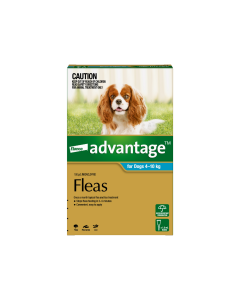 Advantage Dog 4-10kg