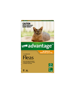 Advantage Kitten & Cat Small Up To 4kg Orange