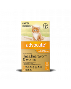 Advocate for cats under 4kg orange