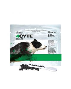 4Cyte Canine