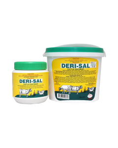 Deri-Sal Ointment