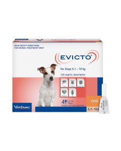 Evicto Dog Small 5-10kg Orange 4 Pack