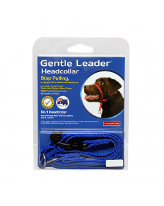 Gentle Leader Head Collar Blue