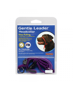 Gentle Leader Head Collar Purple