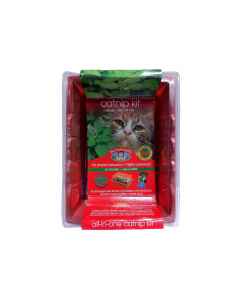 Mr fothergills catnip seed raiser kit 140g