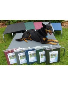 Buy Dog Accessories Online VetProductsDirect