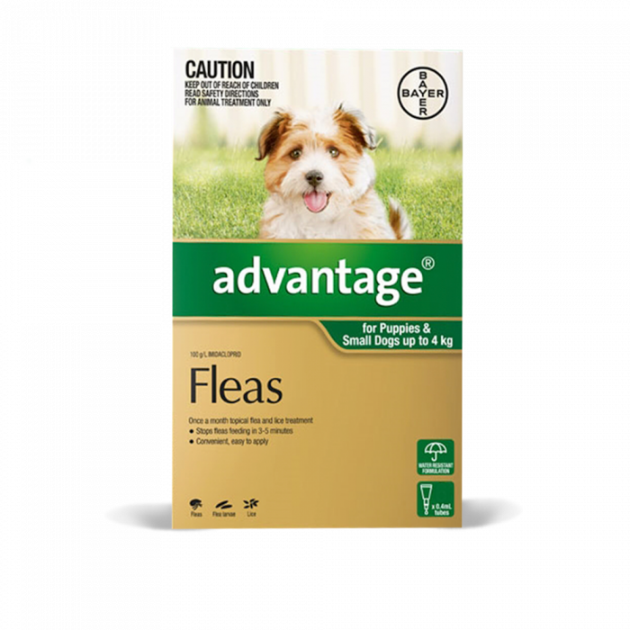 Puppy flea treatment uk sale